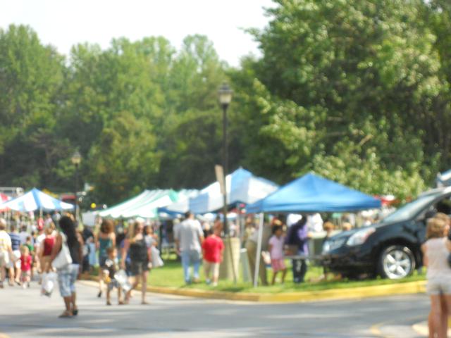 The crowd at the fall festival 9/11/11